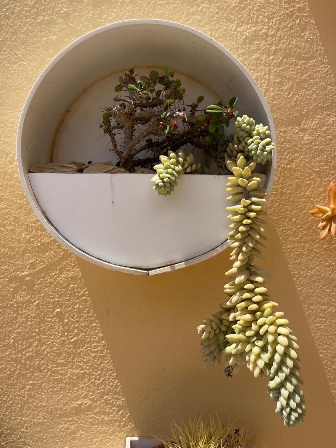 Eco House Golfinhos Apartment Corralejo Bagian luar foto